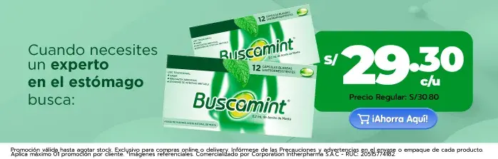 buscamint s3