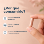 maca roja 500 mg cápsulas frasco 100 un