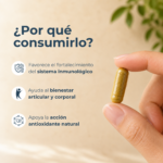 uña de gato 500 mg cápsulas frasco 100 un