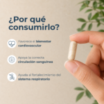 ajos 500 mg cápsulas frasco 100 un